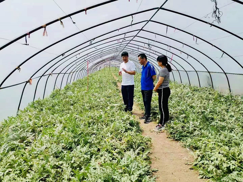 1_副本.jpg 1_副本.jpg