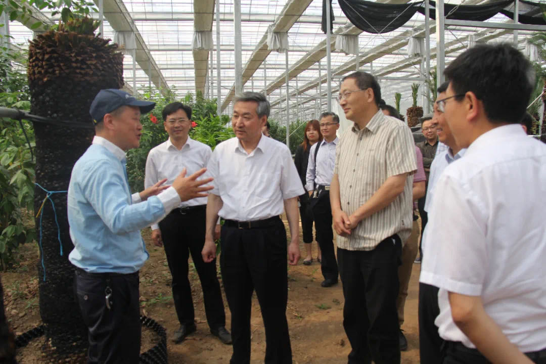 菊花协商议事.jpg 菊花协商议事.jpg