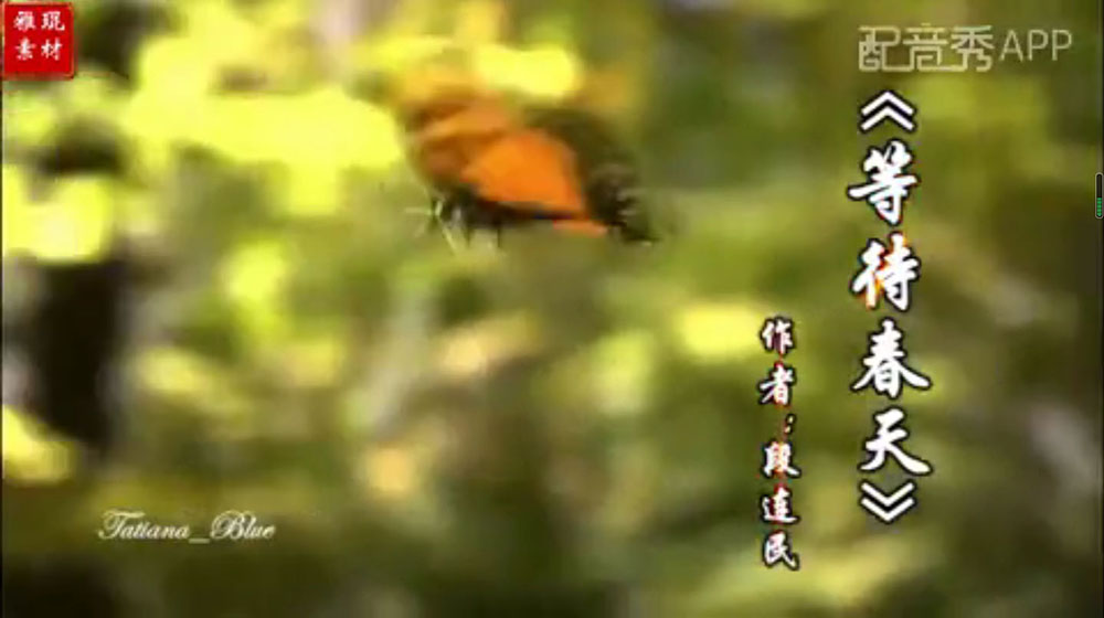 盐城6.jpg 盐城6.jpg