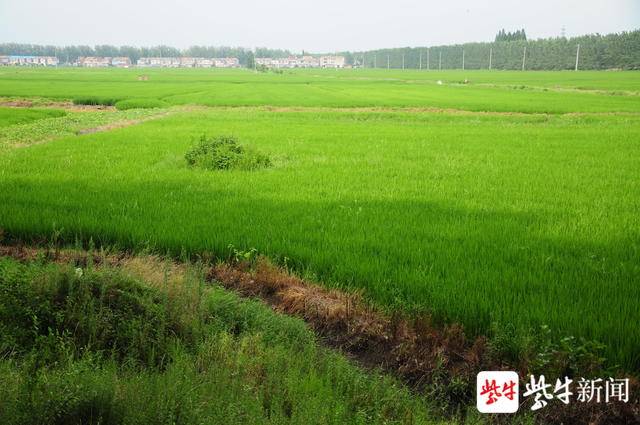 微信图片_20200114191206.jpg 微信图片_20200114191206.jpg