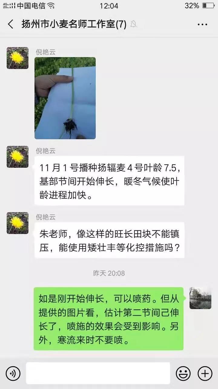 扬州4.jpg