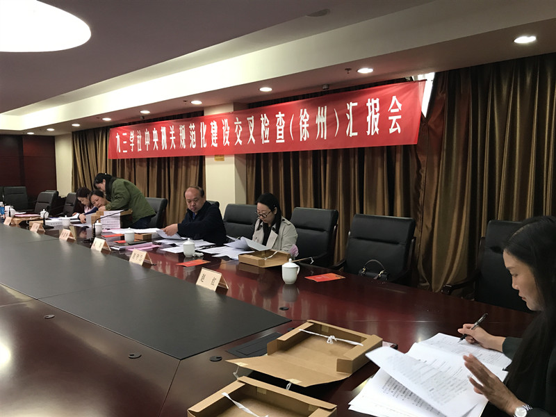 社徐州市委检查_副本.jpg