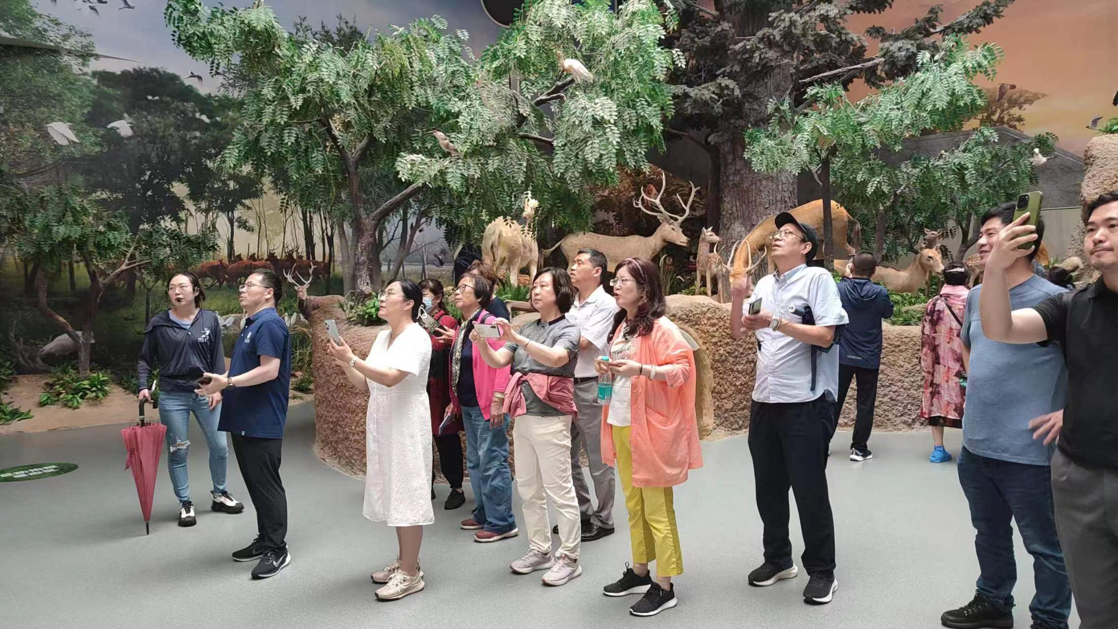 大丰国家级麋鹿保护区调研.jpg