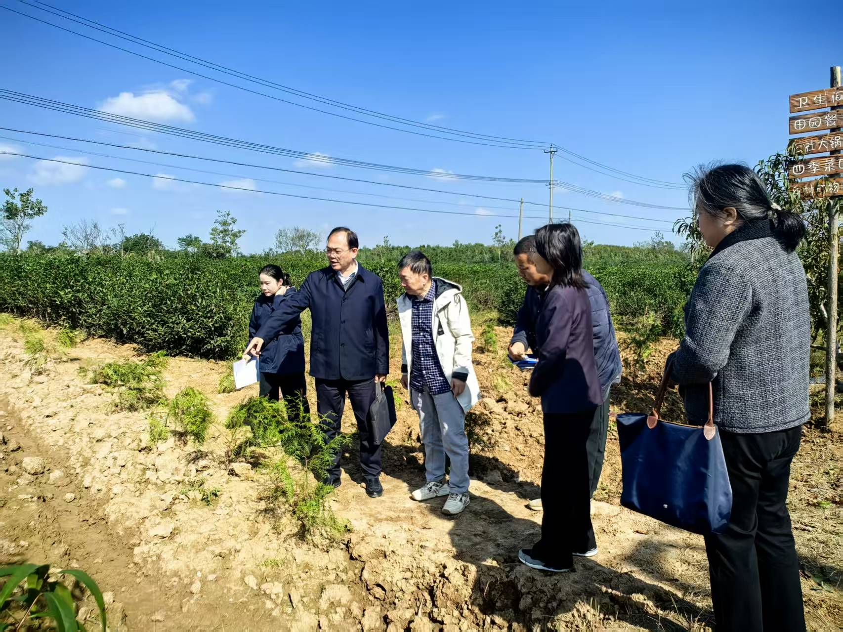 微信图片_20251027112323_8_1704.jpg 微信图片_20251027112323_8_1704.jpg