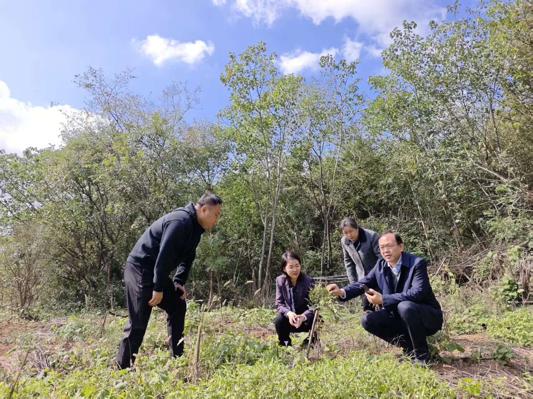 微信图片_20251027112326_11_1704.jpg 微信图片_20251027112326_11_1704.jpg